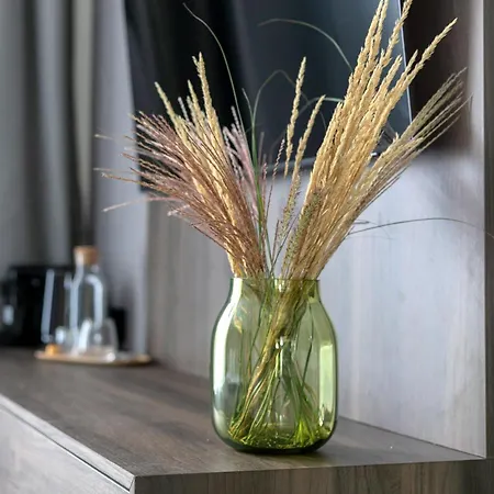 Luong Europe Accommodatie bij particulieren